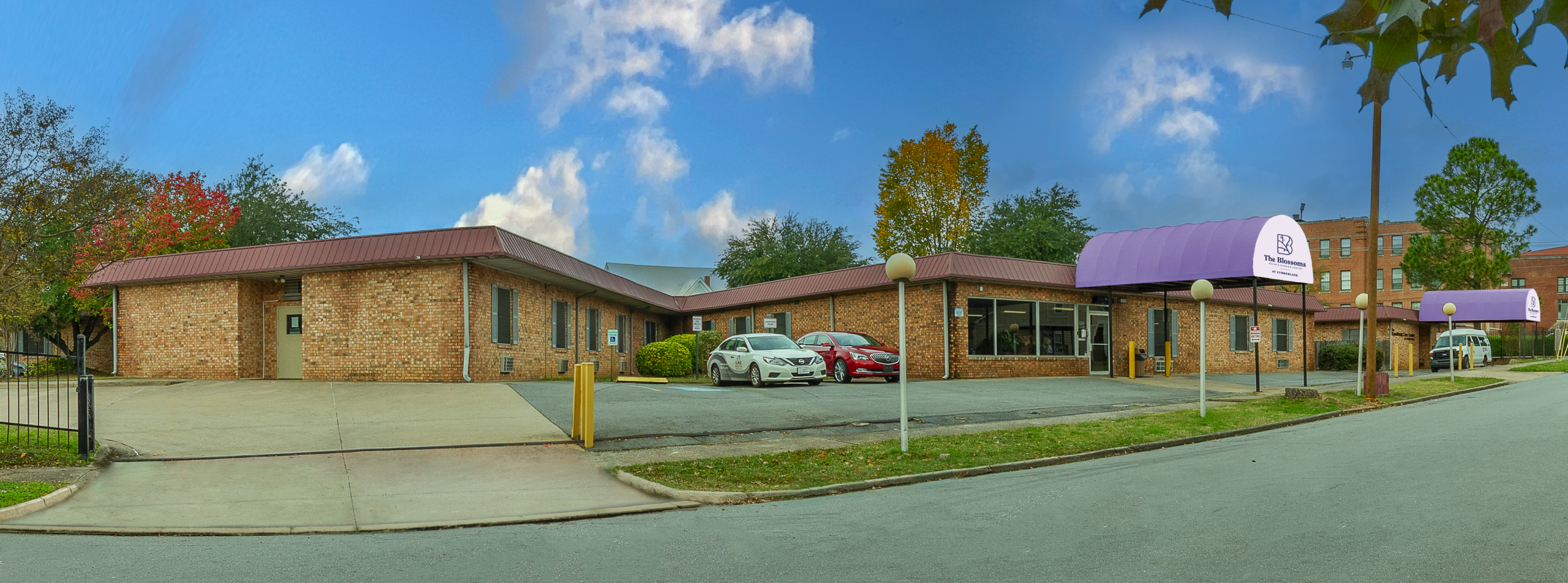 Blossomns At Cumberland Homepage2